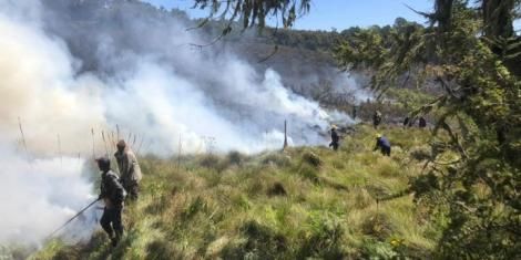 Fire Razes Down 16,000 Acres of Mt Kenya Forest
