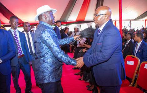 Fact Check: Kibaki’s Grandson Did Not Snub Handshake With Raila