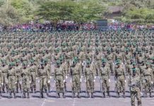 EACC Uncovers Web of Family Ties in Ksh2 Billion NYS Scandal